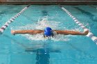 Swimming vs Bentley  Wheaton College Swimming & Diving vs Bentley College. - Photo by Keith Nordstrom : Wheaton, Swimming & Diving